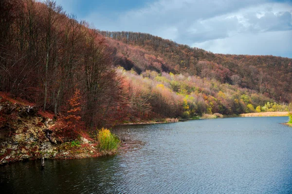 Landsape Otoñal Con Bosque Lago —  Fotos de Stock