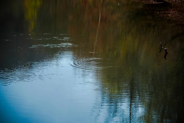 Spiegelung Des Sees Wasser — Stockfoto