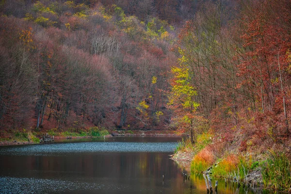 Renkli Ağaçlar Göl Ile Sonbahar Manzarası — Stok fotoğraf