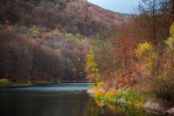 Outono Paisagem Com Árvores Coloridas Lago — Fotografia de Stock