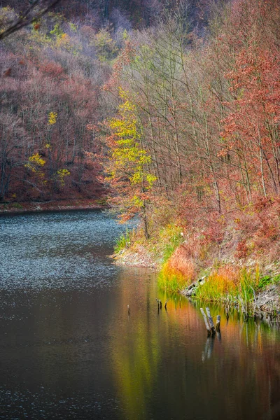 Podzimní Krajina Jezera — Stock fotografie