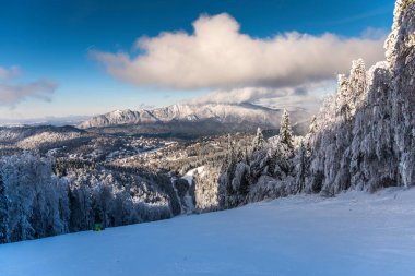 Karla kaplı ağaçlarla kaplı kış manzarası 
