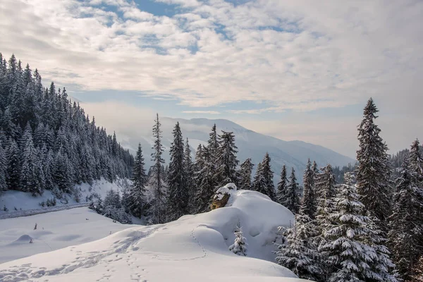 Paisaje Invernal Las Montañas Cárpatas — Foto de Stock