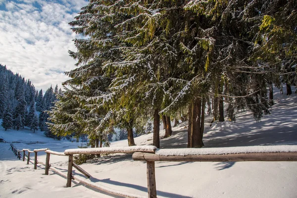 Soğuk bir yaz gününde, parkta karlı bir kış.