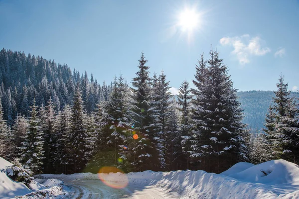 Winter Landscape Carpathian Mountains — Stock Photo, Image