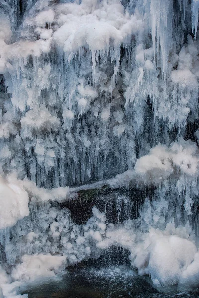 Frozen Waterfall Forest — Stock Photo, Image