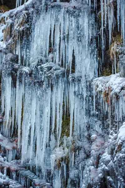 Frozen Waterfall Forest — Stock Photo, Image