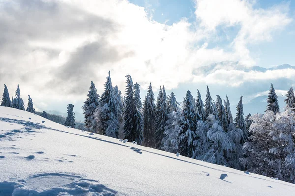 Paisaje Invernal Con Árboles Cubiertos Nieve — Foto de Stock