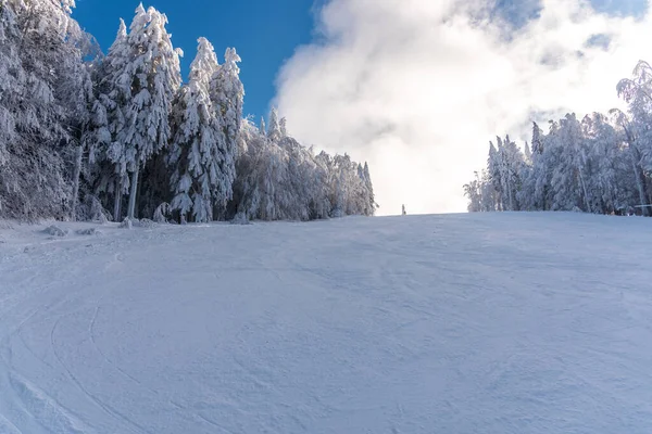 Paisaje Invernal Con Árboles Cubiertos Nieve —  Fotos de Stock