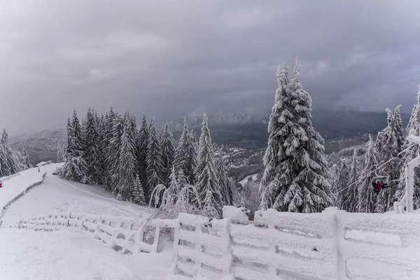 Winterlandschap Met Besneeuwde Bomen — Stockfoto