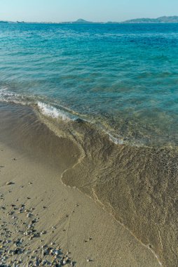 Sahilde deniz dalgaları