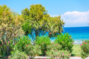 Yunanistan 'da deniz manzarası