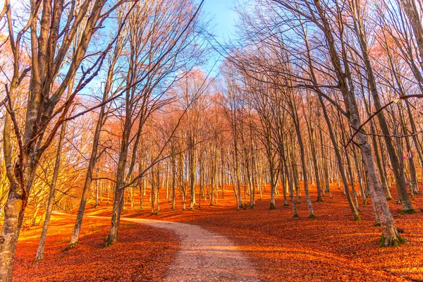 Paysage Automne Incroyable Plitvice Jezera Park Croatie — Photo