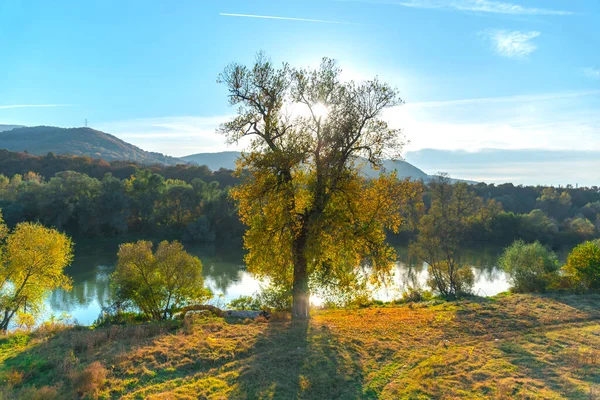 Niesamowity Jesienny Krajobraz Las Rzeka Plitvice Jezera Park Chorwacja — Zdjęcie stockowe