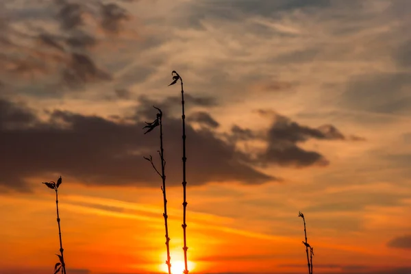 Дивовижні Хмари Заході Сонця — стокове фото