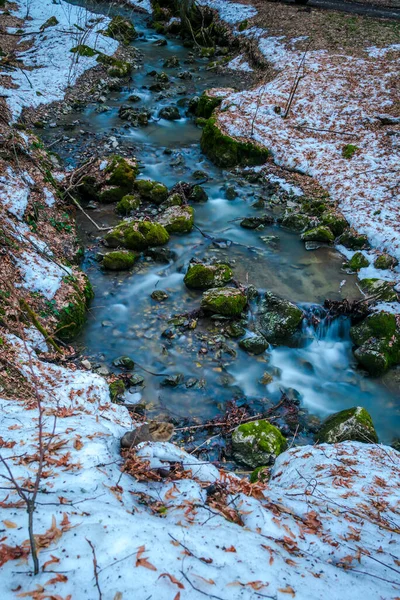 森の中の野生の川 — ストック写真