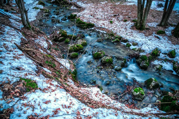 Paisagem Primavera Floresta — Fotografia de Stock