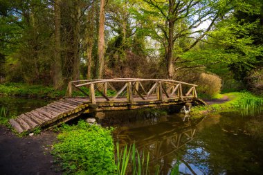 Ormandaki eski ahşap köprü