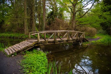 Ormandaki eski ahşap köprü