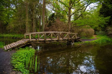 Ormandaki eski ahşap köprü