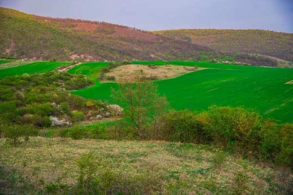 Voorjaarslandschap Ochtend — Stockfoto