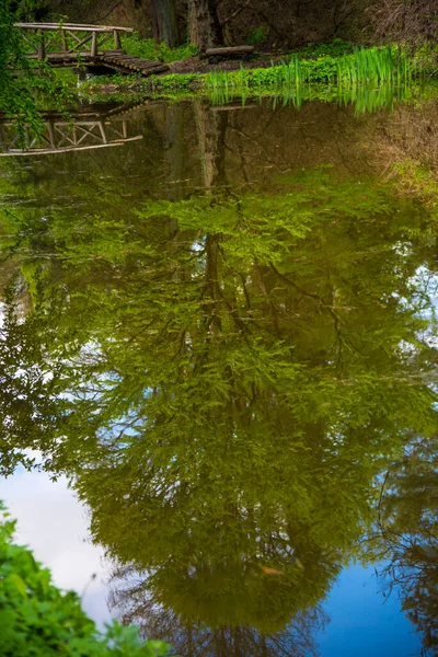 Vecchio Ponte Legno Nella Foresta — Foto Stock