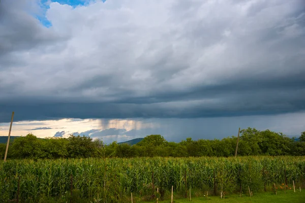 Vista Primavera Después Tormenta —  Fotos de Stock