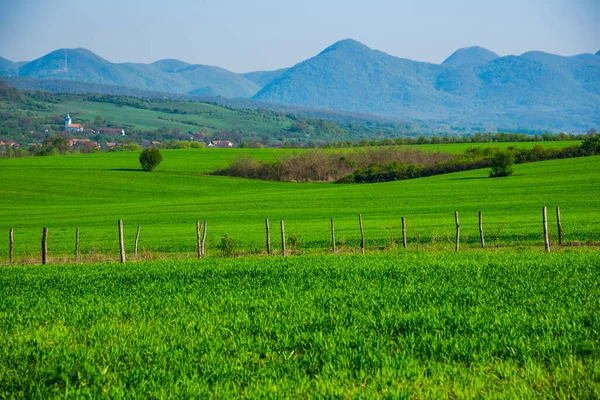 Frühjahrsanblick Nach Sturm — Stockfoto