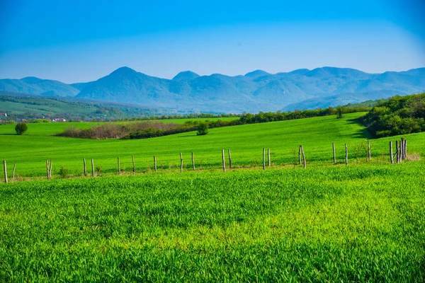 Frühjahrsanblick Nach Sturm — Stockfoto