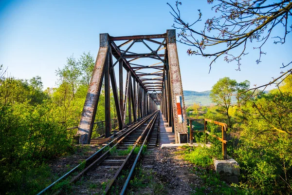 Nehirdeki Çelik Demiryolu Köprüsü — Stok fotoğraf