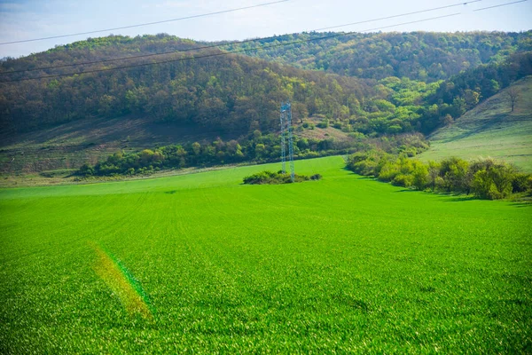 Весняний Пейзаж Зеленому Полі — стокове фото