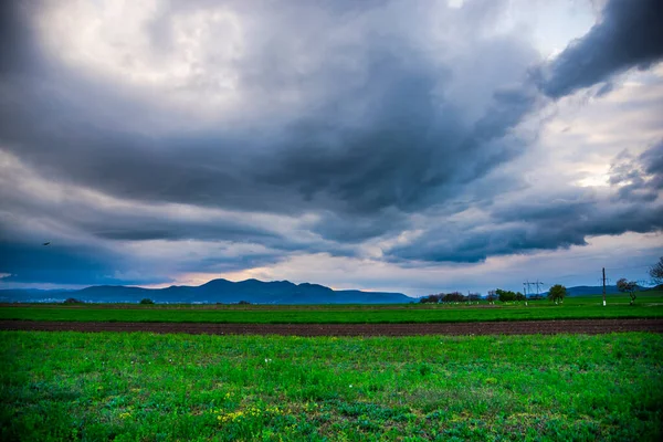 Frühlingslandschaft Auf Der Grünen Wiese — Stockfoto