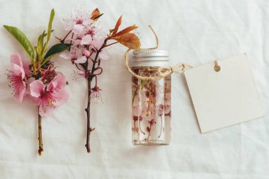 Esans, boş etiketleri ve yeşil yaprakları arka plan üzerinde taze badem çiçekler