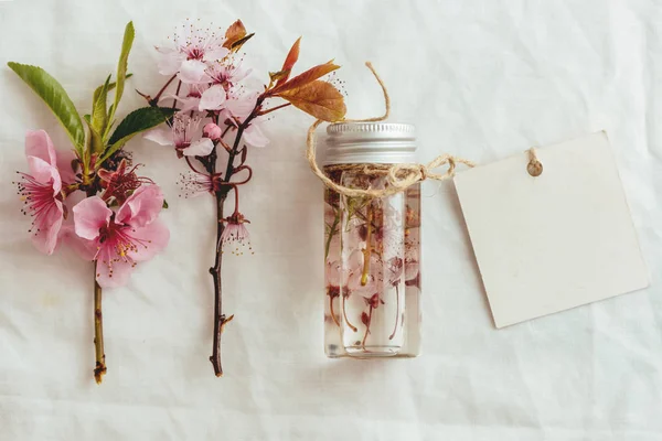 Aceite Esencial Etiquetas Vacías Flores Almendras Frescas Sobre Fondo Hojas — Foto de Stock