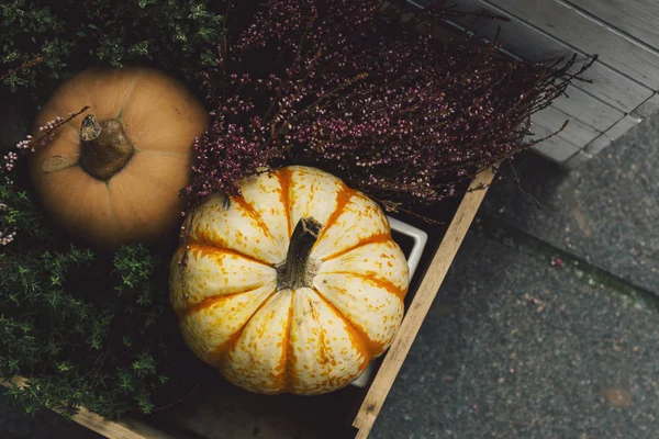 Different kinds of pumpkins inside a wooden box, decorated with flowers, decoration on the stree