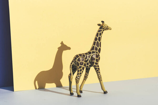 Plastic toy giraffe, on yellow and blue background casting its shadow.