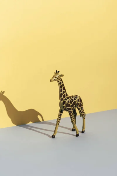 Plastleksak Giraff Gula Och Blå Bakgrund Som Kastar Sin Skugga — Stockfoto