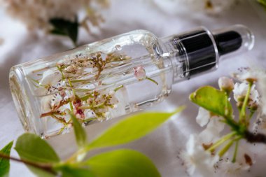 Uçucu yağ, kiraz, yeşil yaprakları arka plan üzerinde taze beyaz çiçekli