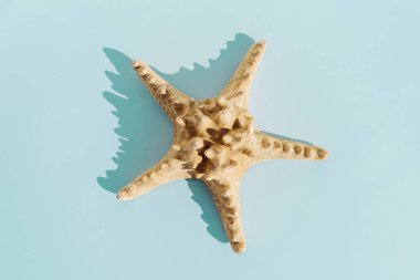 Turkuaz bakground, tavel ve yaz kavramı üzerinde Denizyıldızı