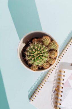 Çalışma masası, defter kalemi ve kaktüslü yumuşak mavi sırtlı.