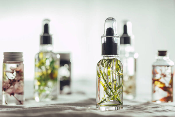 Transparent Bottles of essential oil with fresh herbs.