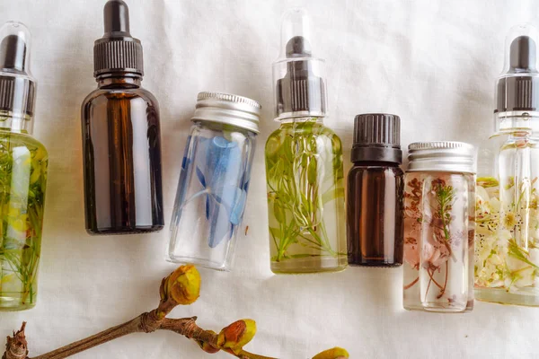 Przezroczyste butelki olejku z świeżymi ziołami. — Zdjęcie stockowe