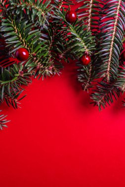 Kırmızı sırtüstü uzanan Noel ağacı dallarından oluşan yaratıcı bir düzen