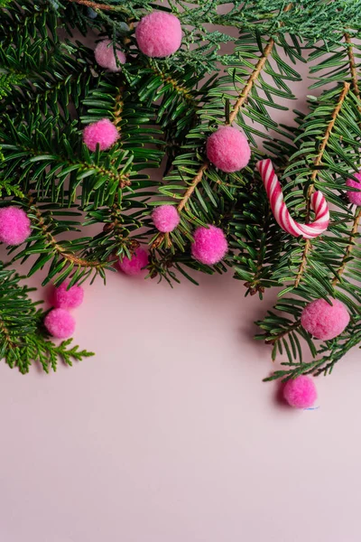 Decorative frame of fir branches and pink holly berries — Stock Photo, Image