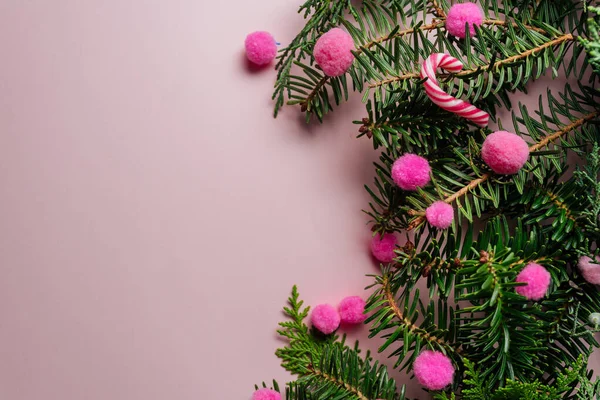 Decorative frame of fir branches and pink holly berries — Stock Photo, Image