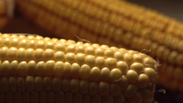 Кукуруза Свежая Кукуруза Желтые Кукурузные Початки Выстрел Долли Движение Скользящей — стоковое видео