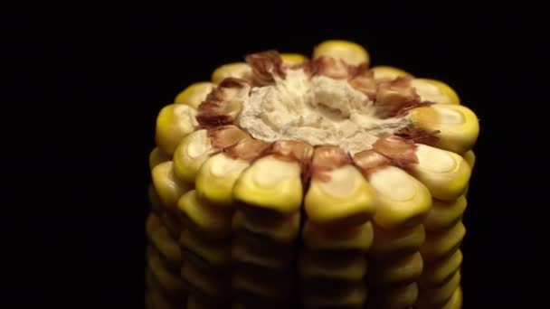 Corn Fresh Corn Cob Ripe Yellow Corn Cobs Rotation Selective — Stock Video