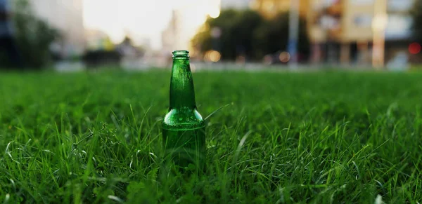Botella Vidrio Banner Botella Cerveza Vacía Verde Lanzada Hierba Profundidad —  Fotos de Stock