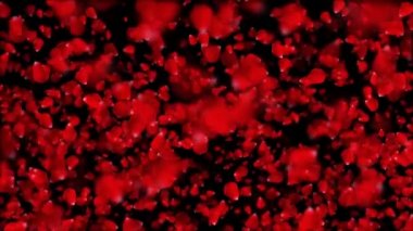 Döngü, havada, Sevgililer günü, düğün, Doğum günü, Doğum günü, davetiye vb. için güzel gül yaprakları arka plan aşktır. . 