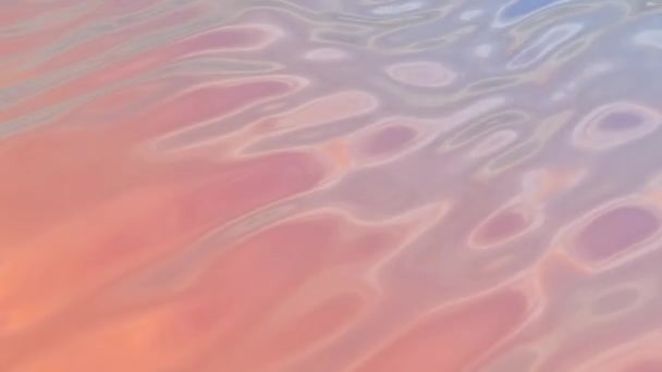 Минималистский Голографический Фиолетово Сине Розовый Фон Волны Многоцветная Абстрактная Фоновая — стоковое видео